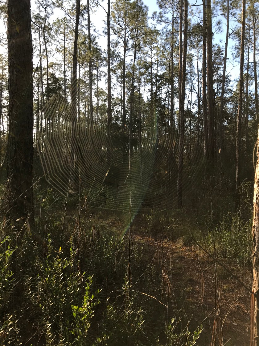 AA42B5EB-27FC-49BA-97C3-0E4105C58D7A