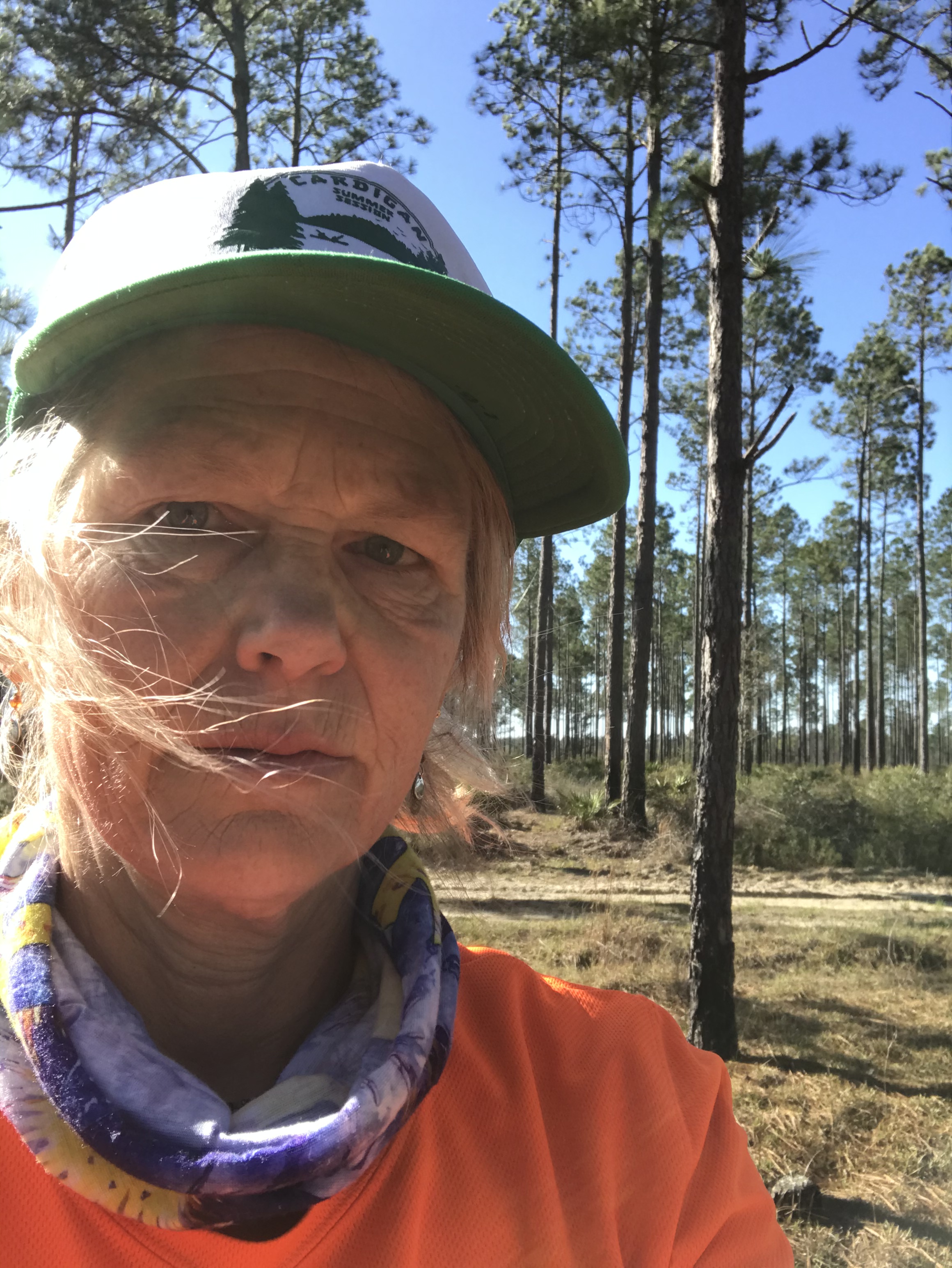 B6E704C5-45E9-4660-8020-FB1DB55CD039