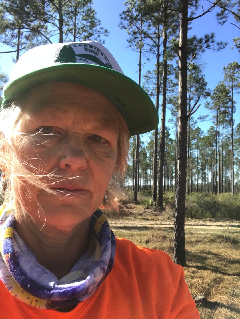 B6E704C5-45E9-4660-8020-FB1DB55CD039