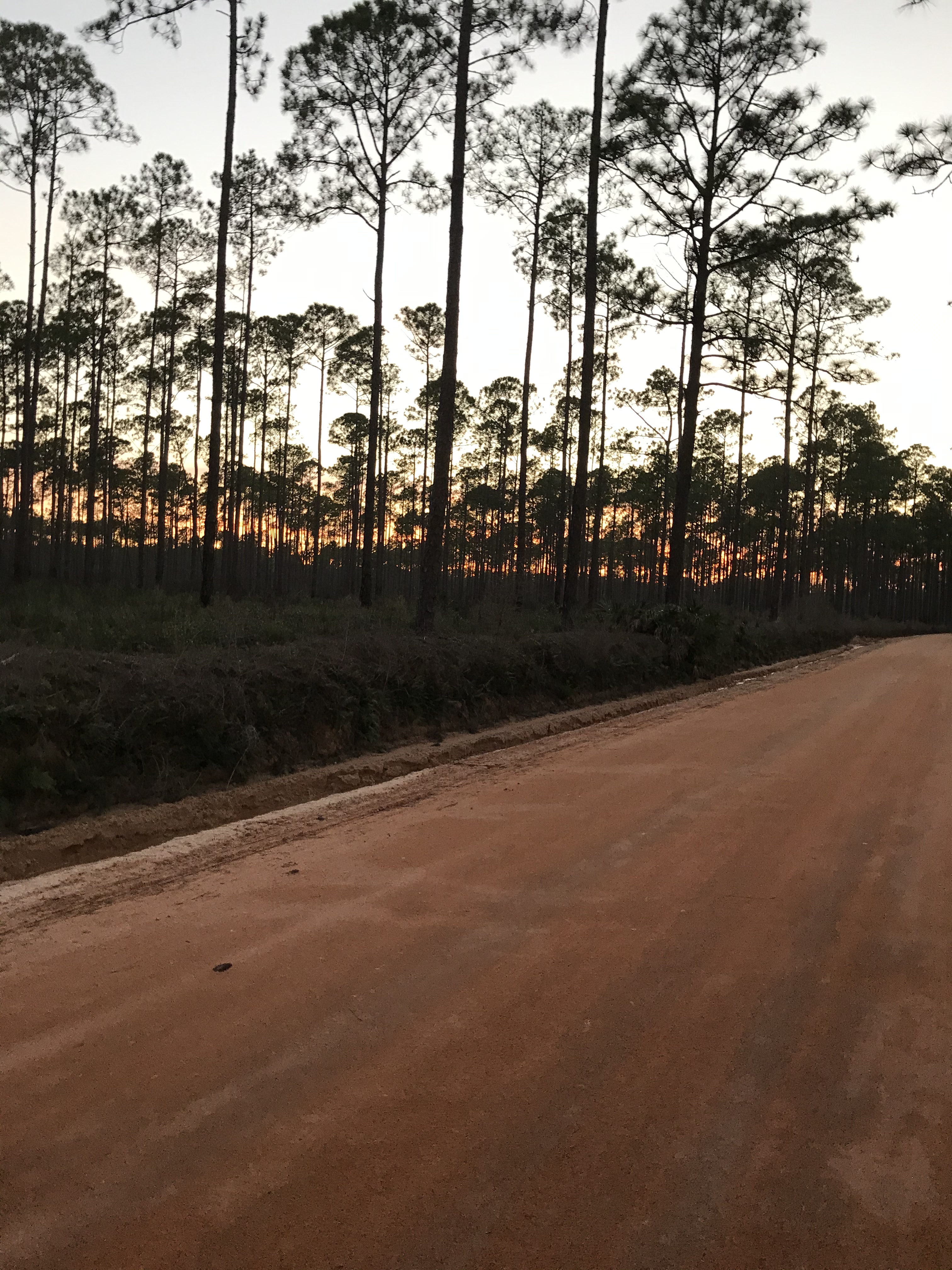 BB710AE7-2A5E-4FEE-B8E4-BAD6924A2F5F