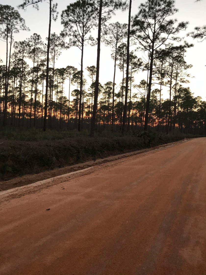 BB710AE7-2A5E-4FEE-B8E4-BAD6924A2F5F