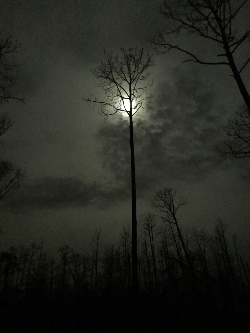 D4DFECFE-1B09-449B-AEE4-07F7D71D8035