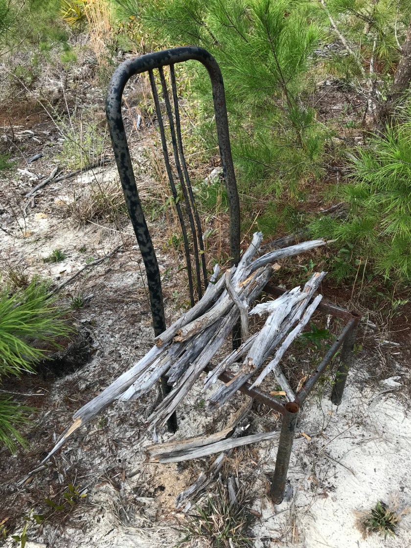 E7D48071-1104-4C34-86F3-F6454B2B8770