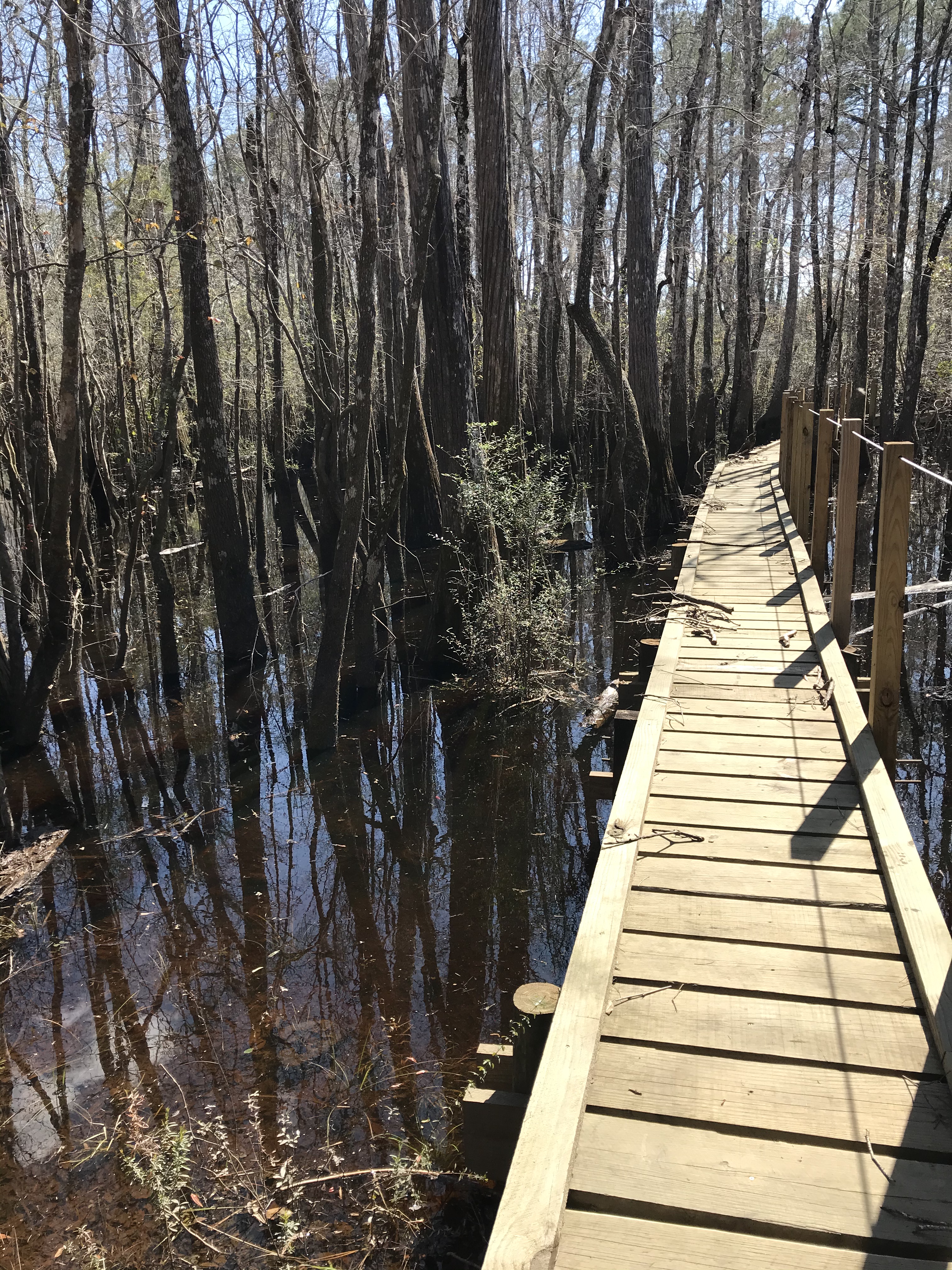 F1EB41A7-8EDE-4FC6-9152-E5DFDA4308C7