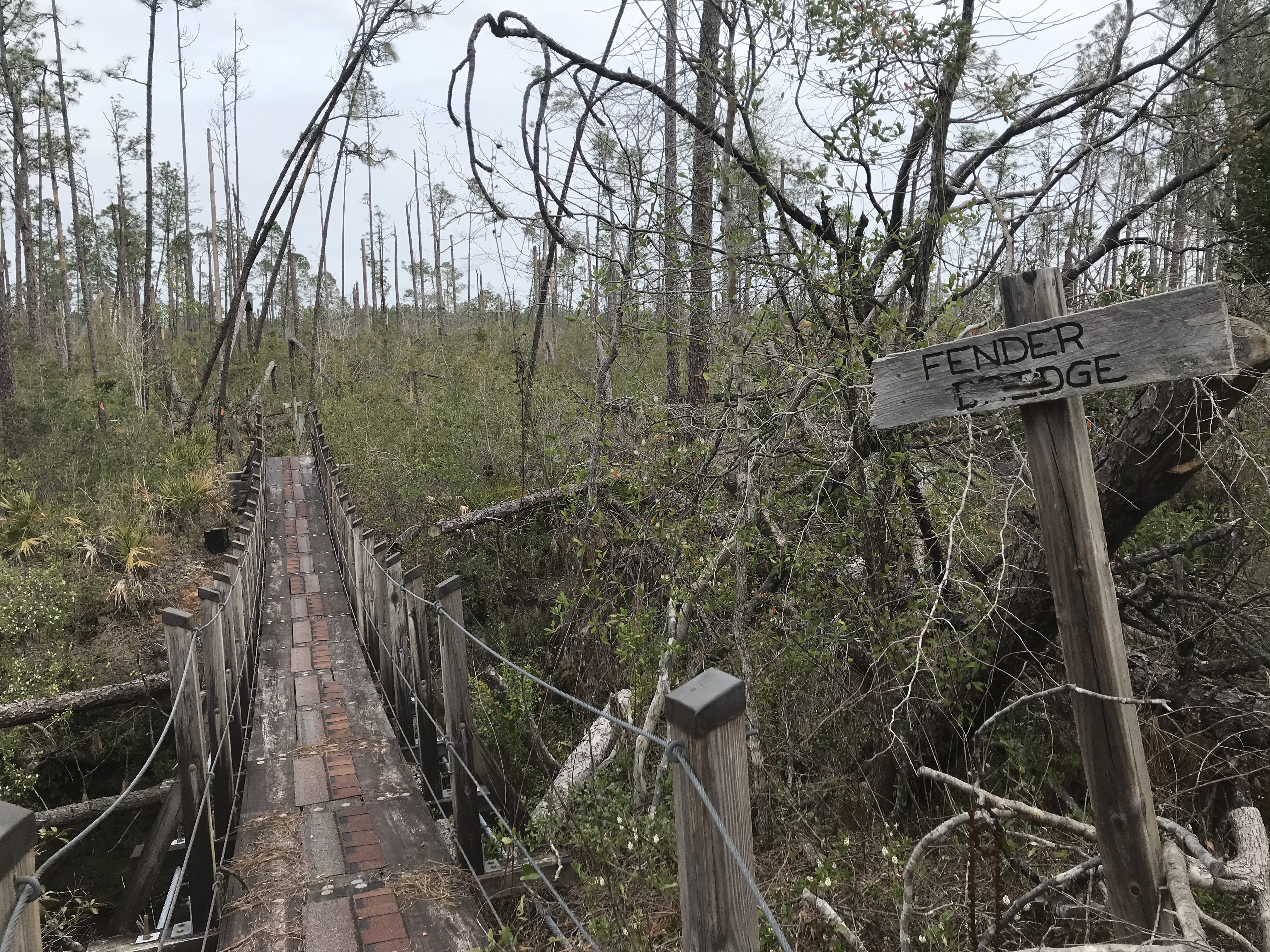 F27D08E9-4CCE-47B3-883B-738C60641F34