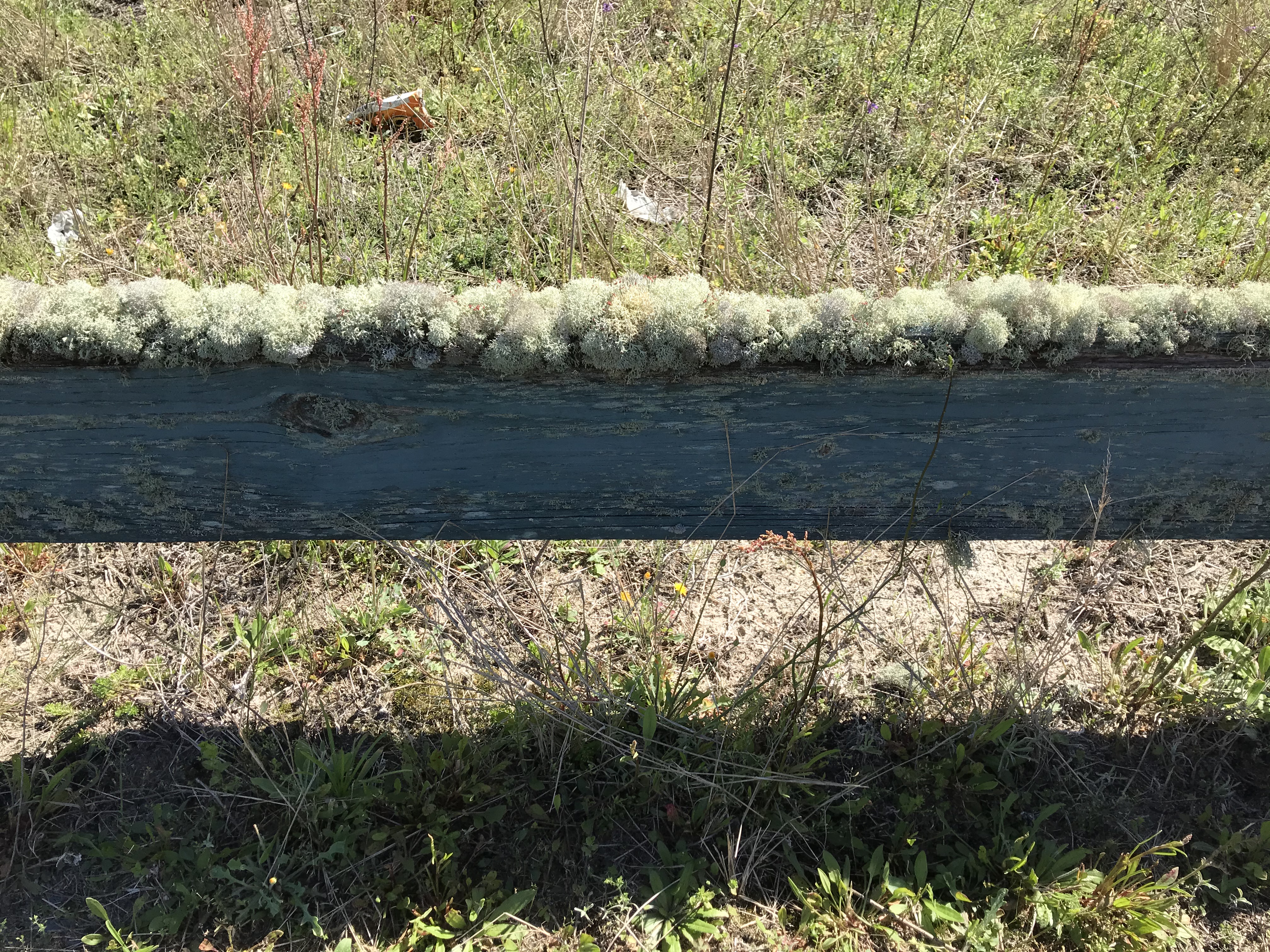 FBB0AC5A-A83F-4743-9CA8-4D657D26C576