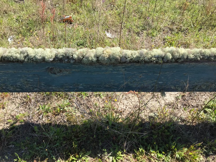 FBB0AC5A-A83F-4743-9CA8-4D657D26C576