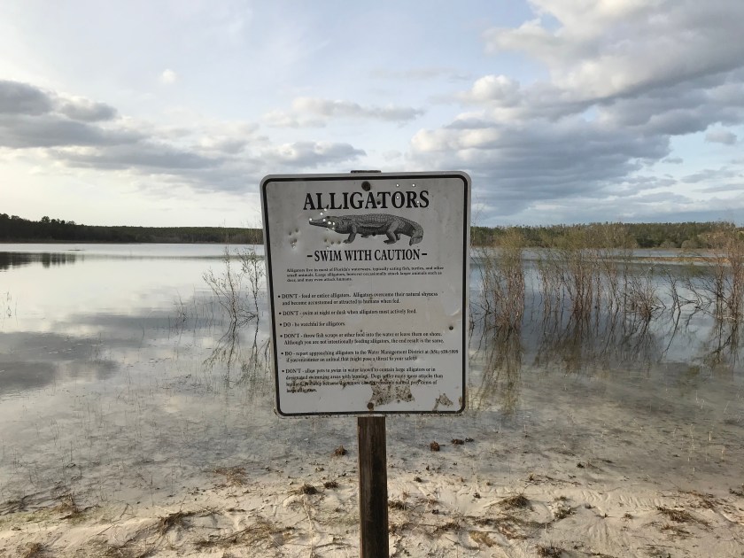 FC44918F-C0F0-4C82-B12F-A17696D2C859