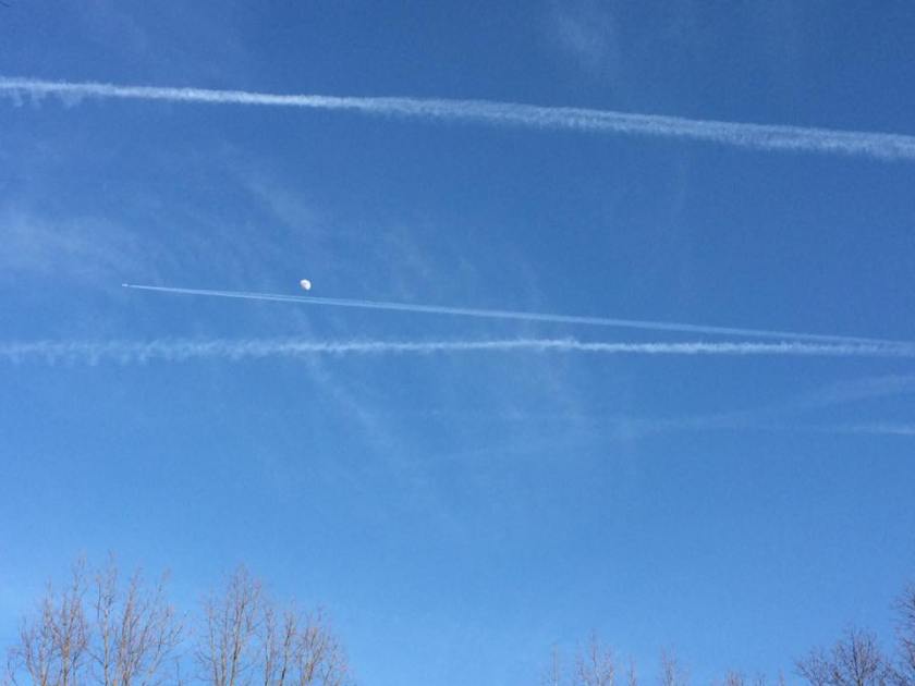 13010671_1103385199702980_3856797487909874782_n