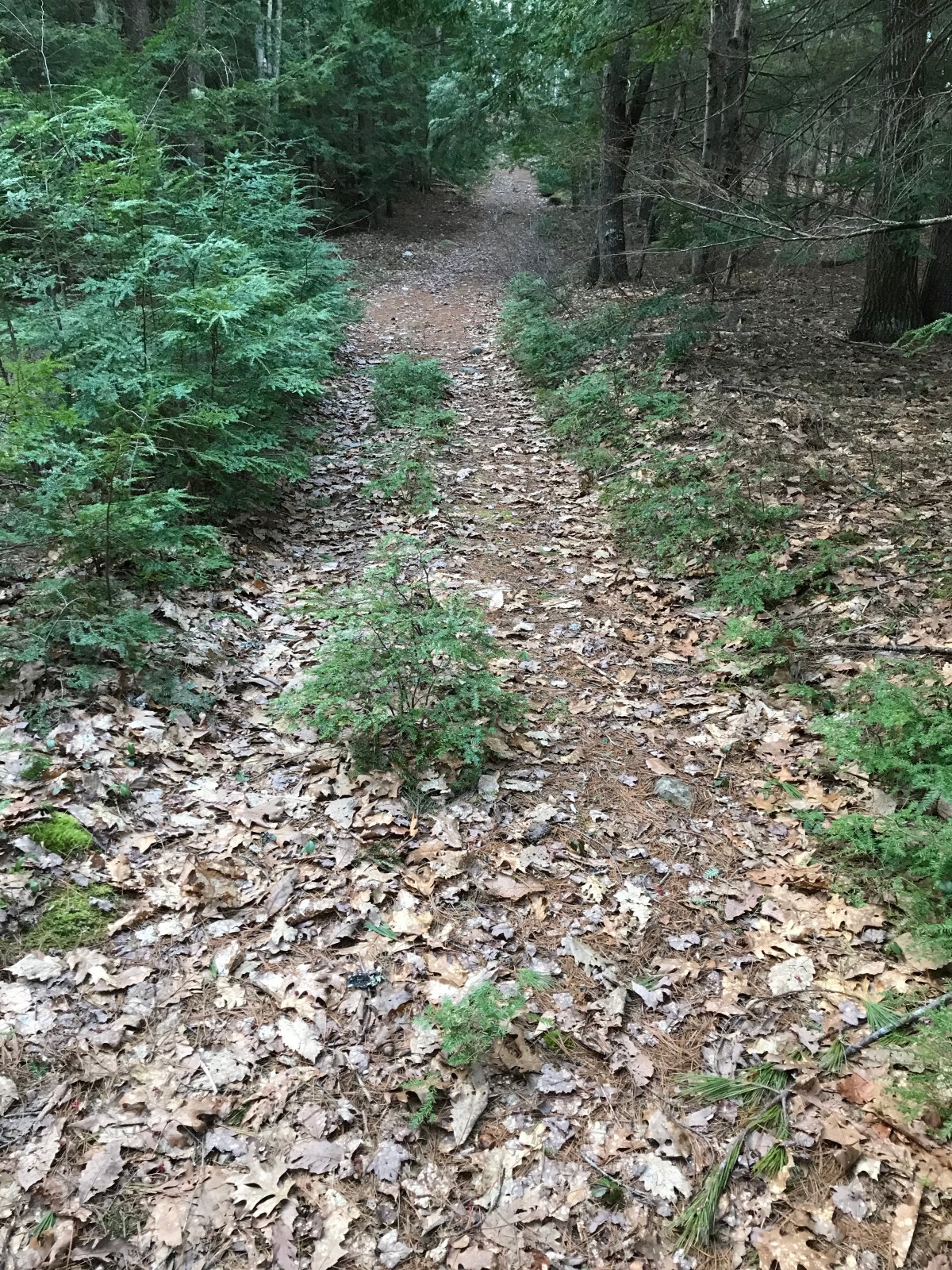 I Would Have Been Back&nbsp;Sooner