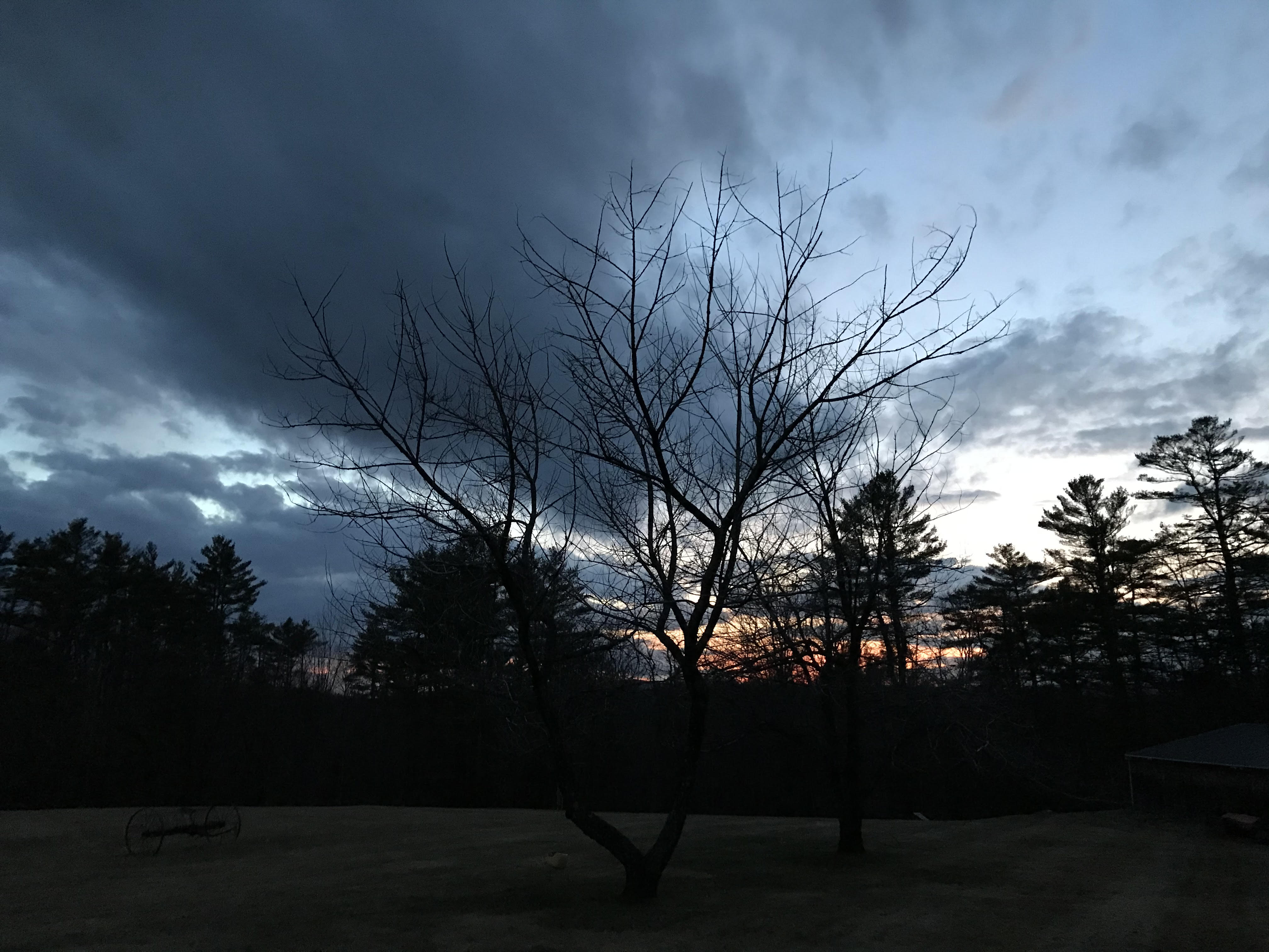 unnamed