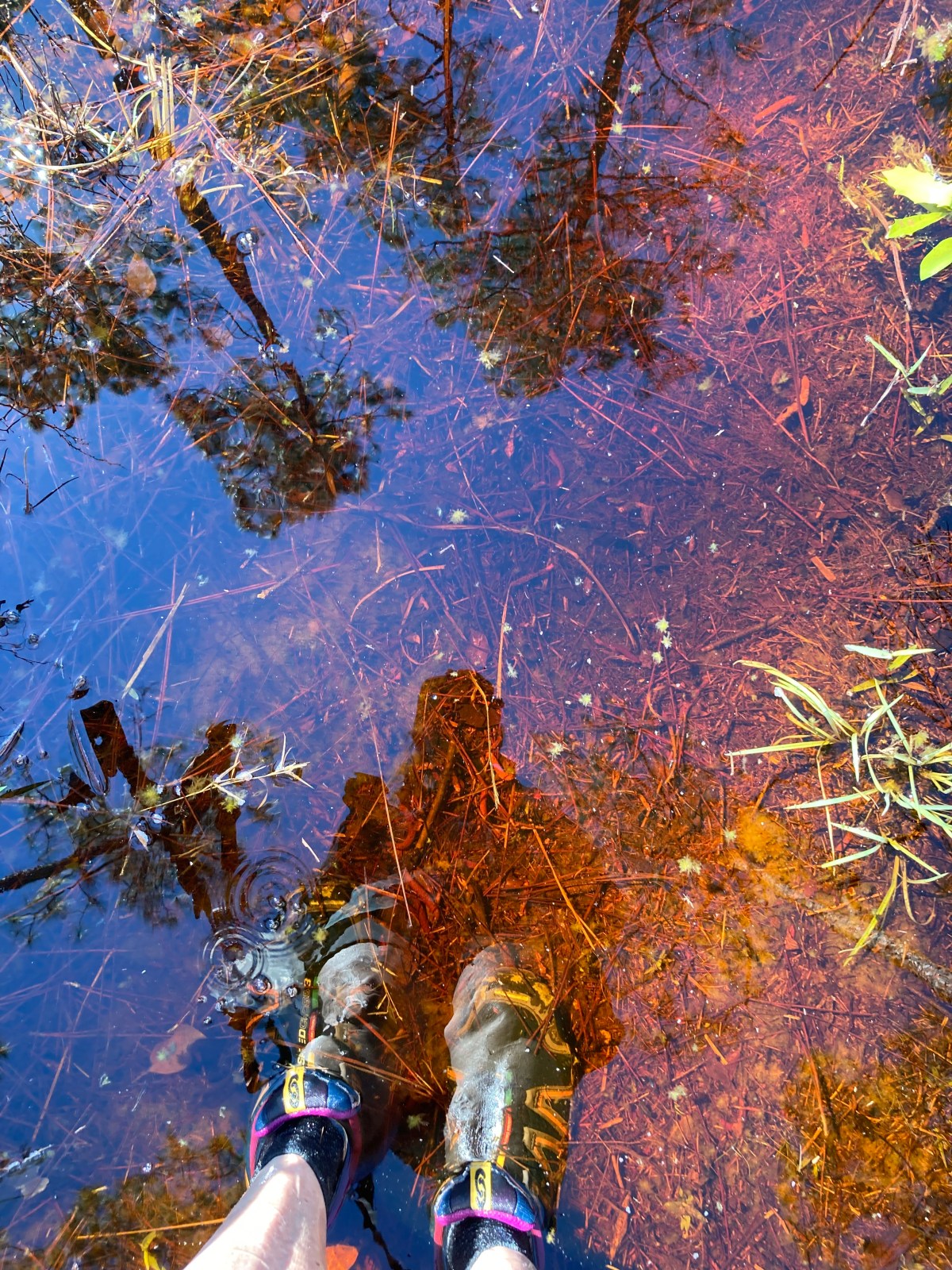 Let the Waters&nbsp;Rise