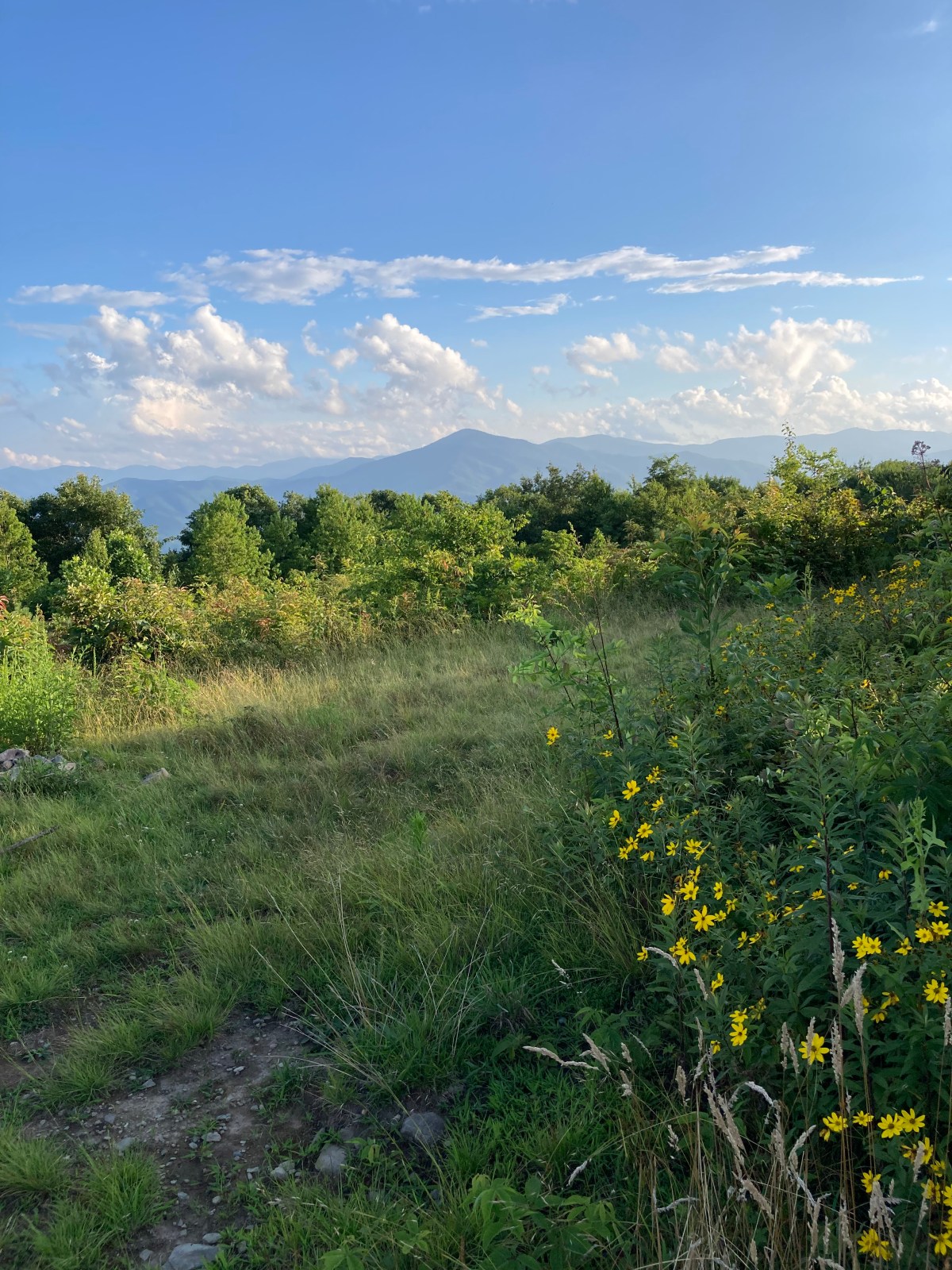 Appalachian High Route, Part 3: Hot Springs to&nbsp;Home