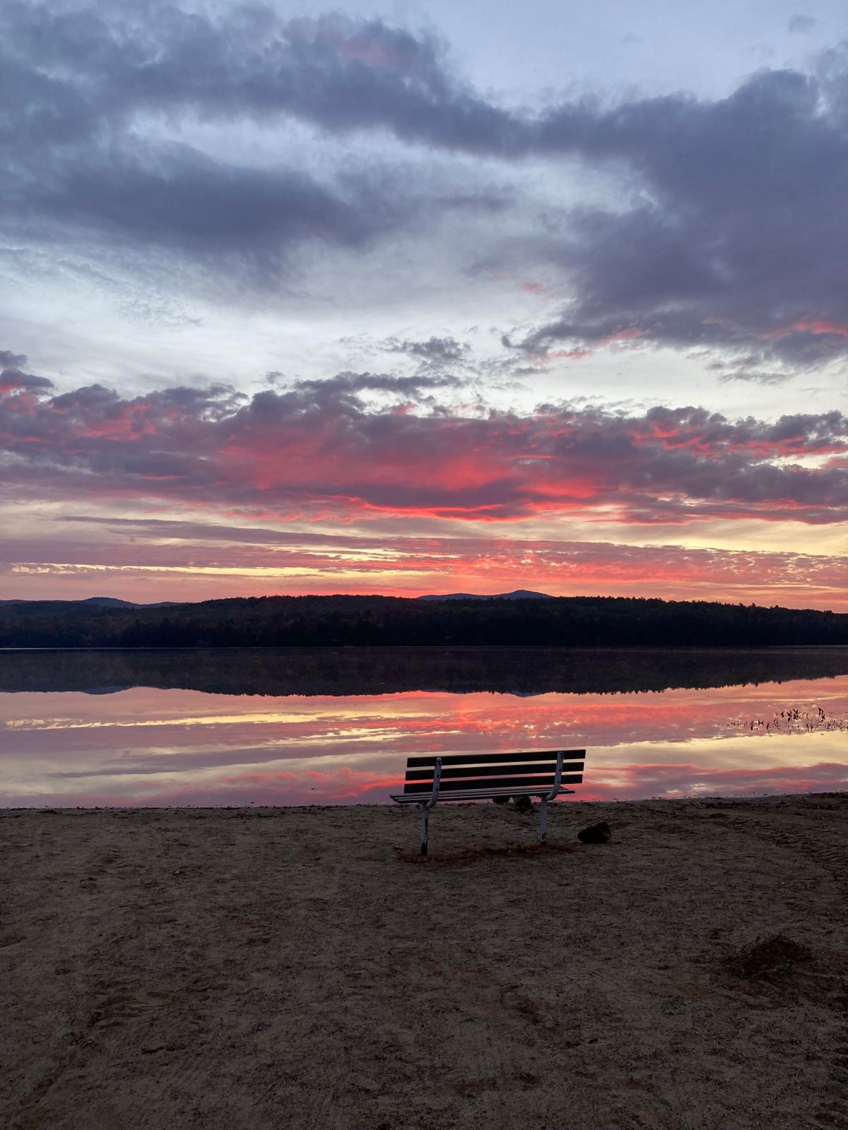 Our One Tiny&nbsp;Life